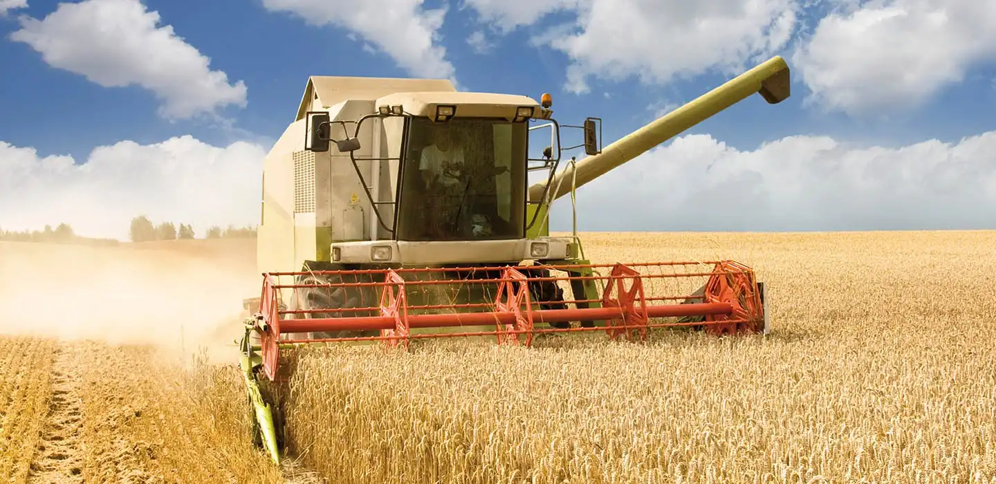 Máquina agrícola colhe e trata uma plantação